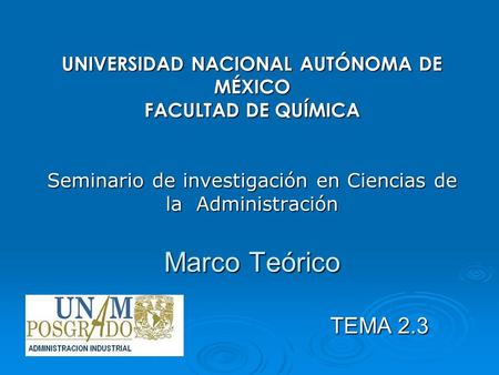 UNIVERSIDAD NACIONAL AUTÓNOMA DE MÉXICO FACULTAD DE QUÍMICA Seminario de investigación en Ciencias de la Administración Marco Teórico TEMA 2.3.