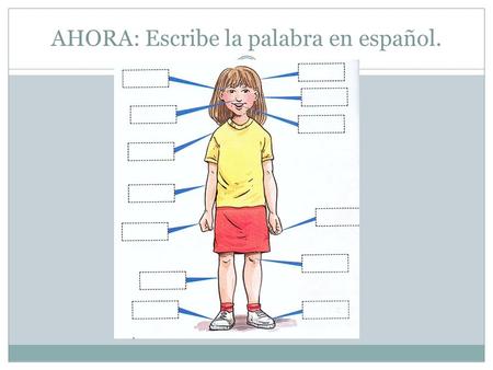 AHORA: Escribe la palabra en español.. Agenda: Repaso del cuerpo Vocabulario nuevo Claves Tarea: Deja un mensaje de un accidente. SWBAT talk about different.