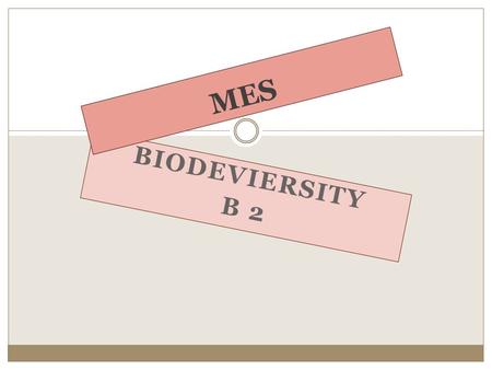 BIODEVIERSITY B 2 MES. El trabajo escrito con todos los contenidos solicitados y la firma del representante, serà recibido el día del exámen de la unidad.
