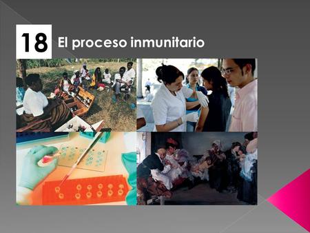 18 El proceso inmunitario.