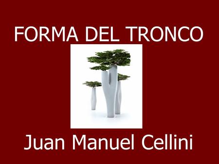 FORMA DEL TRONCO Juan Manuel Cellini.
