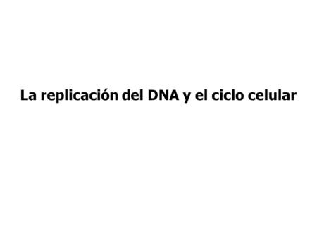 La replicación del DNA y el ciclo celular. Otra pregunta con respuesta abierta: ¿Cómo se regula la actividad de los orígenes de replicación de modo de.