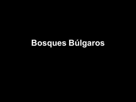 Bosques Búlgaros. La magia de la naturaleza hace que mis ojos se abran en una inmensa sonrisa. Me siento impresionada al percibir la elegancia que hoy.
