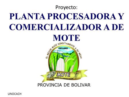 Organización Visión Ser una planta de producción y comercialización de mote de calidad en la provincia Bolívar, para complementar las necesidades alimenticias.