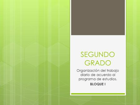 Organización del trabajo diario de acuerdo al programa de estudios.