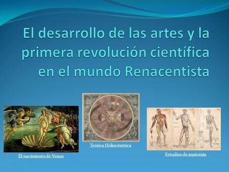 El desarrollo de las artes y la primera revolución científica en el mundo Renacentista Teórica Heliocéntrica Estudios de anatomía El nacimiento de Venus.