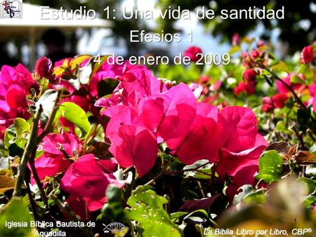 1 Estudio 1: Una vida de santidad Efesios 1 4 de enero de 2009 Iglesia Bíblica Bautista de Aguadilla La Biblia Libro por Libro, CBP ®