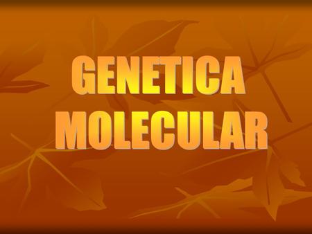 es el campo de la biología que estudia la estructura y la función de los genes a nivel molecular. La genética molecular emplea los métodos de la genética.