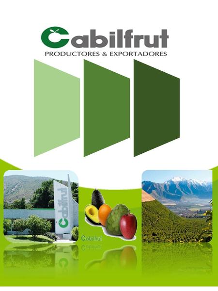 ¿QUIENES SOMOS? Somos una empresa agrícola y comercial con 15 años de vida, que cuenta con el respaldo de más de 30 años de experiencia de sus fundadores.