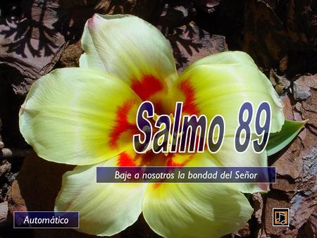 Baje a nosotros la bondad del Señor Automático Señor, tú has sido nuestro refugio de generación en generación.