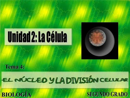 Unidad 2: La Célula Tema 4:.