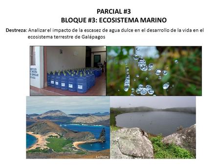 BLOQUE #3: ECOSISTEMA MARINO