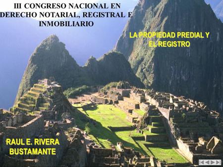RAUL E. RIVERA BUSTAMANTE