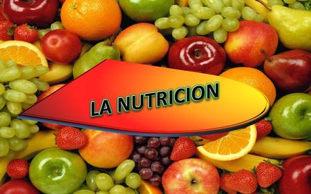 AGENDA Concepto Importancia Tipos de nutrición Faces de la nutrición