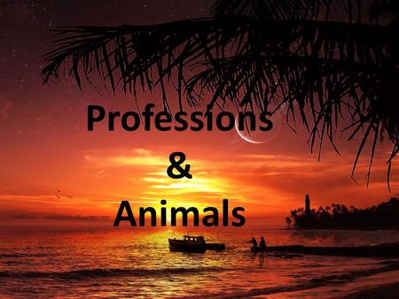 Professions & Animals. el bombero fireman el abogado lawyer.