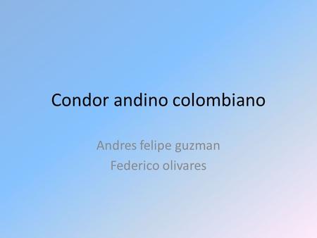 Condor andino colombiano