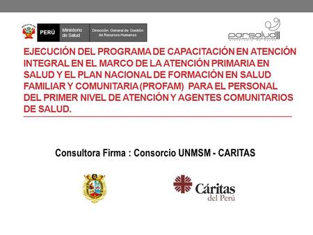 Consultora Firma : Consorcio UNMSM - CARITAS