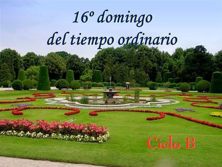 16º domingo del tiempo ordinario 16º domingo del tiempo ordinario Ciclo B.