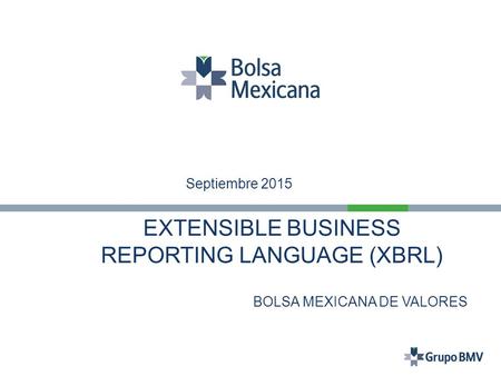 REPORTING LANGUAGE (XBRL)