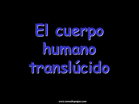 El cuerpo humano translúcido