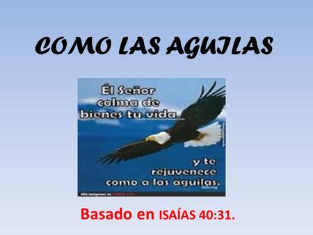 COMO LAS AGUILAS Basado en ISAÍAS 40:31..