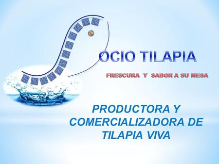 FRESCURA Y SABOR A SU MESA