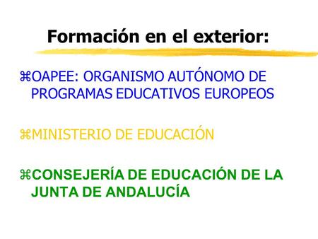 Formación en el exterior: zOAPEE: ORGANISMO AUTÓNOMO DE PROGRAMAS EDUCATIVOS EUROPEOS zMINISTERIO DE EDUCACIÓN  CONSEJERÍA DE EDUCACIÓN DE LA JUNTA DE.