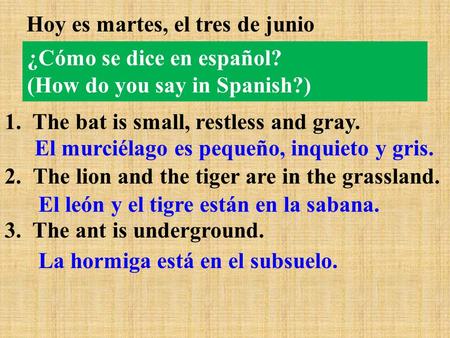 ¿Cómo se dice en español? (How do you say in Spanish?) Hoy es martes, el tres de junio 1. The bat is small, restless and gray. 2.The lion and the tiger.