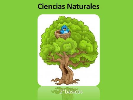 Ciencias Naturales 2°básicos.