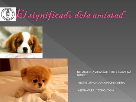 NOMBRES: JAVIERA SALCEDO Y CATALINA NÙÑEZ  PROFESOR/A : CAROLINA PINCHEIRA  AZIGNATURA : TECNOLOGIA.