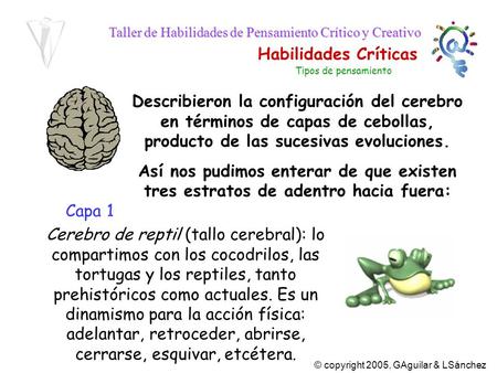 Tipos de pensamiento Describieron la configuración del cerebro en términos de capas de cebollas, producto de las sucesivas evoluciones. Así nos pudimos.