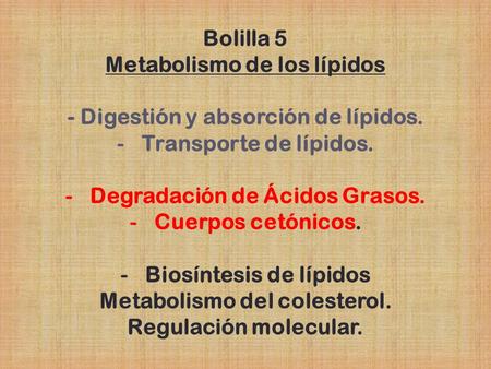 Metabolismo de los lípidos - Digestión y absorción de lípidos.