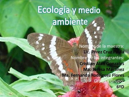 Ecología y medio ambiente