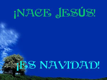 ¡ NACE JES Ú S! ¡ ES NAVIDAD! He mirado más allá de mis ojos, allí donde nunca voy porque siempre estoy conmigo. He abierto, por fin, la ventana de.