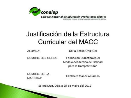 Justificación de la Estructura Curricular del MACC