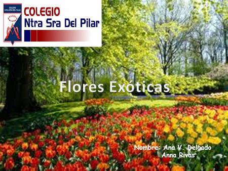 Flores Exóticas Nombre: Ana V. Delgado Anna Rivas.