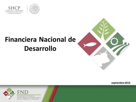 Financiera Nacional de Desarrollo