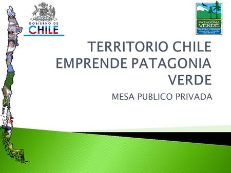 MESA PUBLICO PRIVADA.  “Sobre la base de un trabajo mancomunado entre los actores públicos y privados de cada territorio, Chile Emprende busca facilitar.