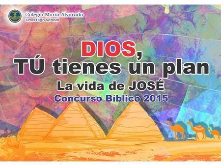 Estructura del concurso