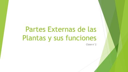 Partes Externas de las Plantas y sus funciones