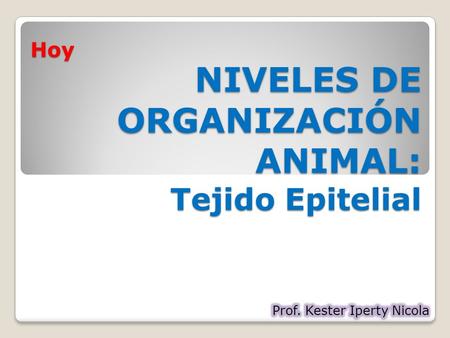 NIVELES DE ORGANIZACIÓN ANIMAL: