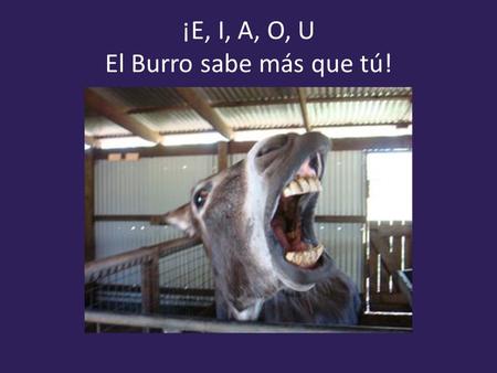 ¡E, I, A, O, U El Burro sabe más que tú!. Me, Mi, Ma, Mo, Mu.