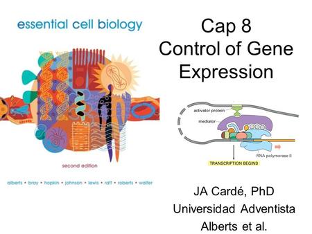 Cap 8 Control of Gene Expression