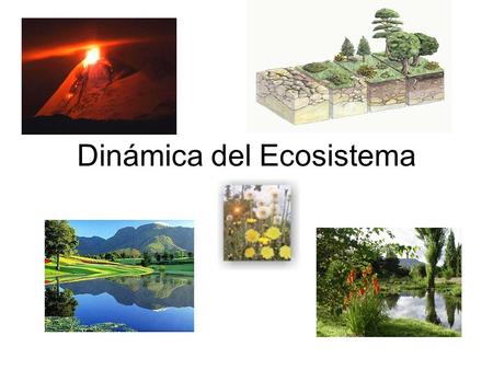 Dinámica del Ecosistema