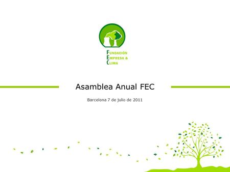 Asamblea Anual FEC Barcelona 7 de julio de 2011. Informe de Gestión 1. Miembros 2010 2. Acciones realizadas 2010 3. Balance económico 2010 4. Previsión.