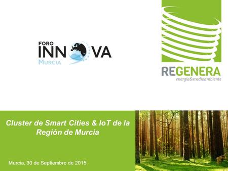 Cluster de Smart Cities & IoT de la Región de Murcia
