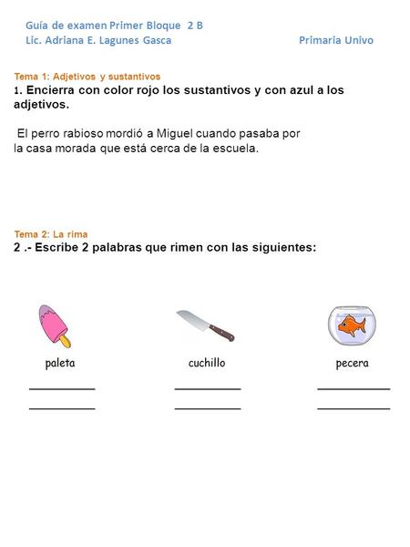 Guía de examen Primer Bloque 2 B
