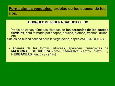 BOSQUES DE RIBERA CADUCIFOLIOS