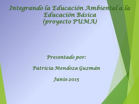 Integrando la Educación Ambiental a la Educación Básica (proyecto PUMA) Presentado por: Patricia Mendoza Guzmán Junio 2015.