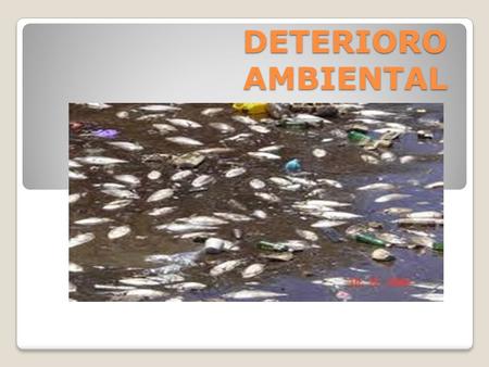 DETERIORO AMBIENTAL. De acuerdo con la calidad de las técnicas de explotación, se daña en mayor o menor medida a los ecosistemas. A la intensidad del.